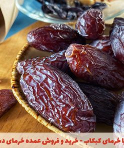 خرید عمده خرما کبکاب دشتستان